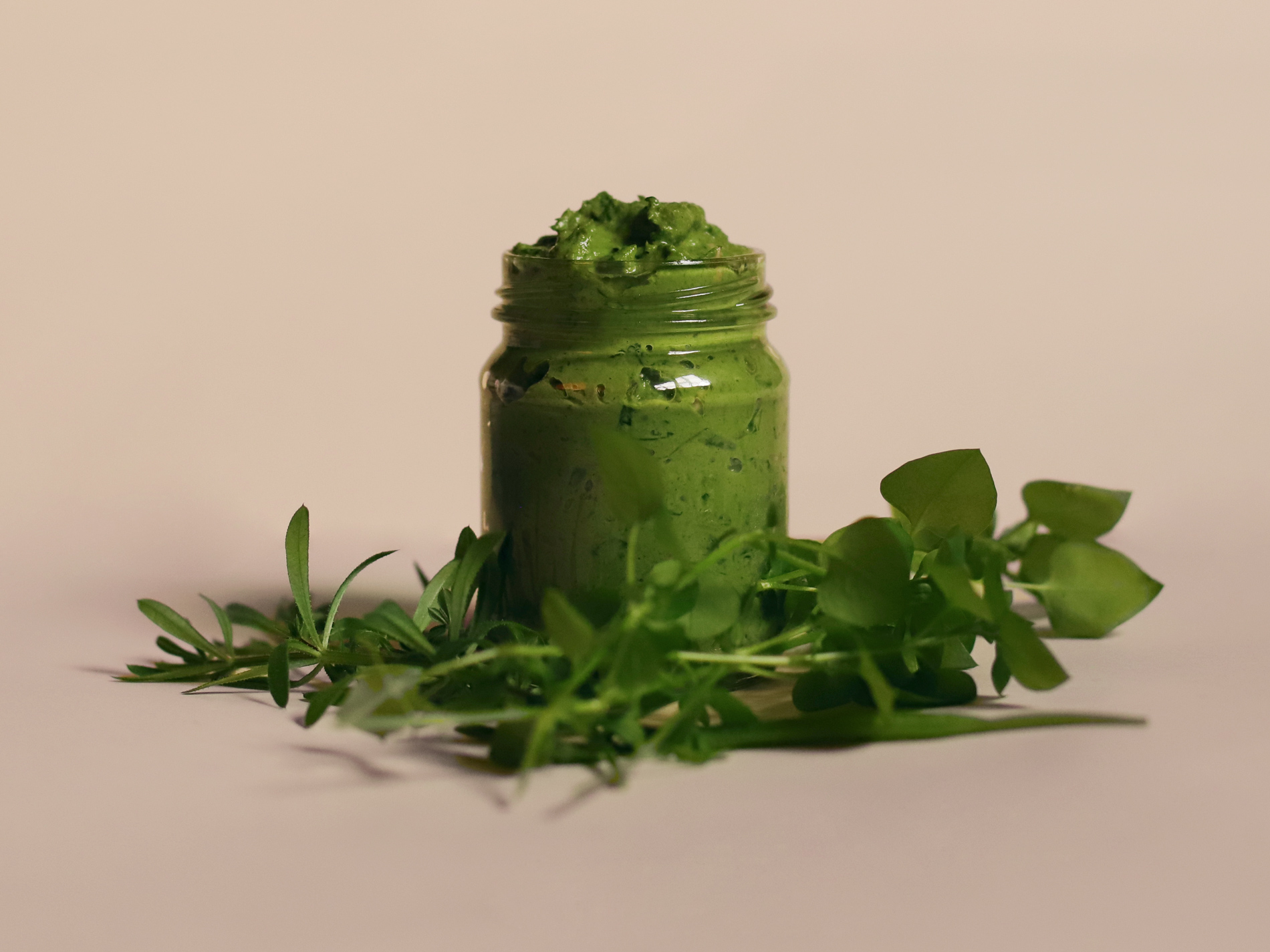 Vogelmieren Pesto