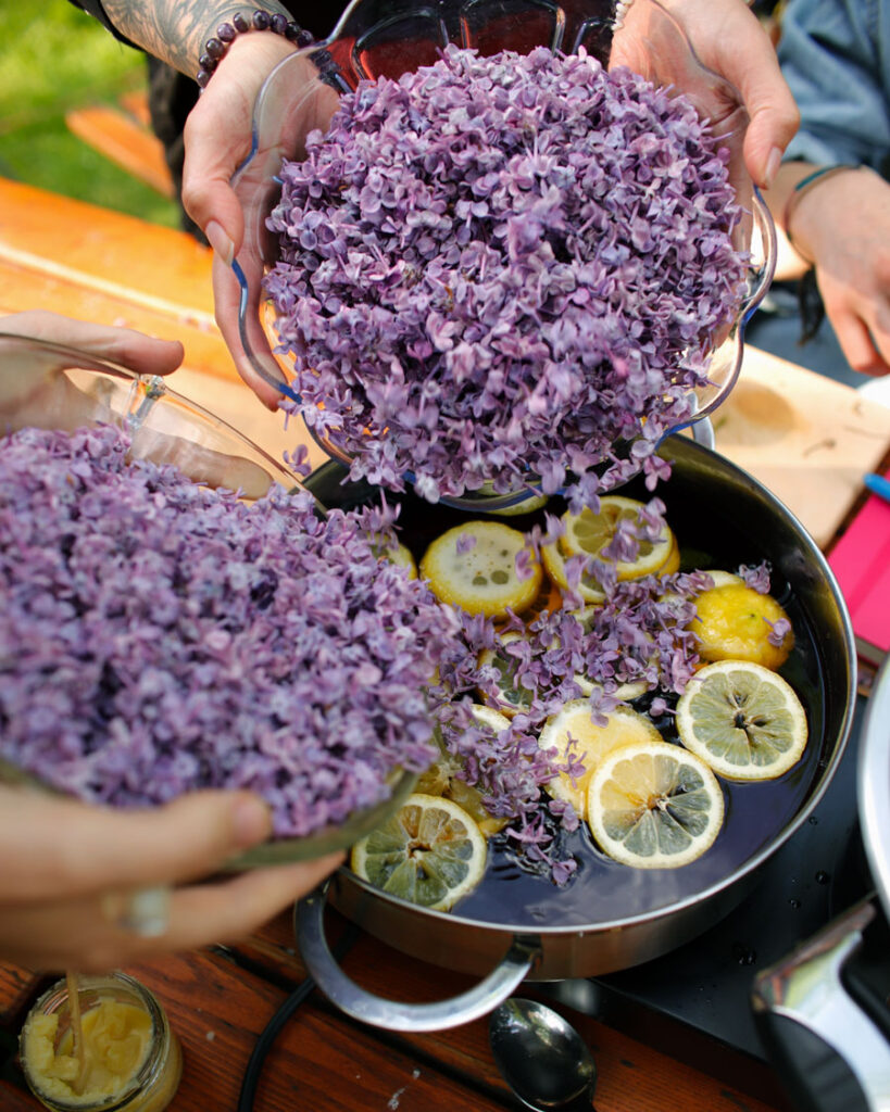 Fliedersirup - Heger und Sammler Fliedersirup - Heger und Sammler
